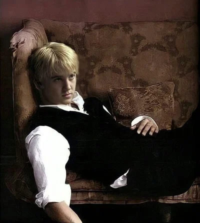 Draco Lucius Malfoy