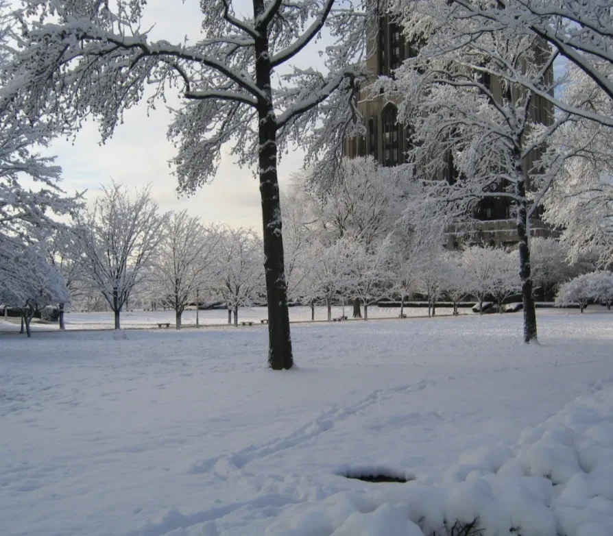 Winter-holidays experience RPG!