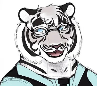 🤍 Tilly the Tiger! 🐯