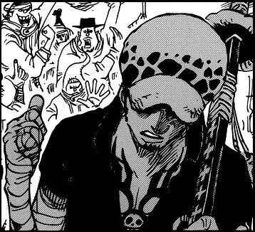 Trafalgar Law |Years later|