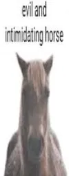 Evil and Intimidating Horse