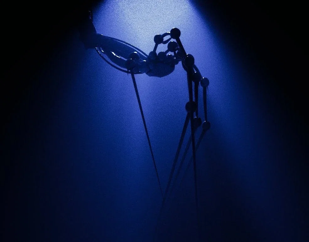 The Prototype