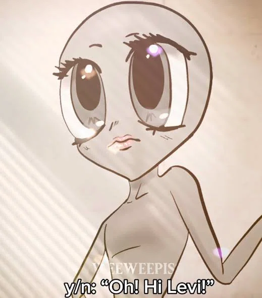 Y/N
