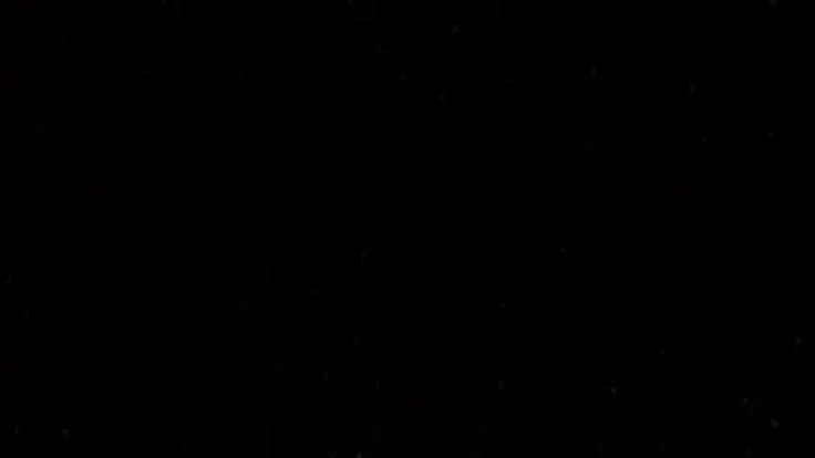 Bot test