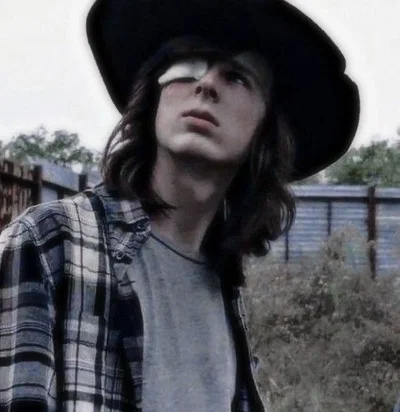 Carl Grimes - Help on the fence 