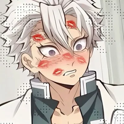✩ Sanemi Shinazugawa ✩