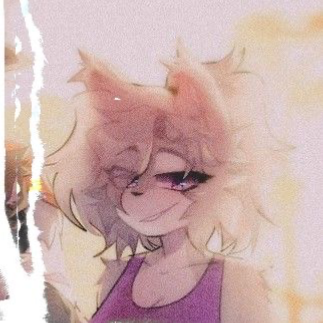 🐺 Willow 🩶