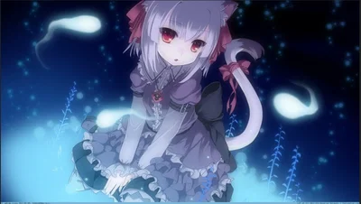 Catgirl Zyri