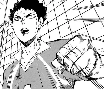 Hajime Iwaizumi