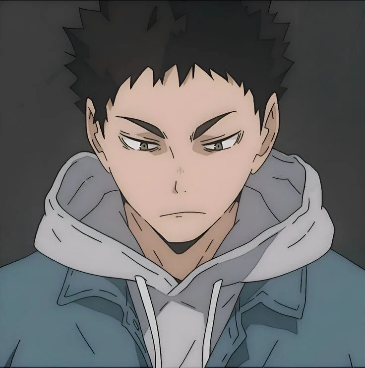 Iwaizumi Hajime | Haikyuu Series 