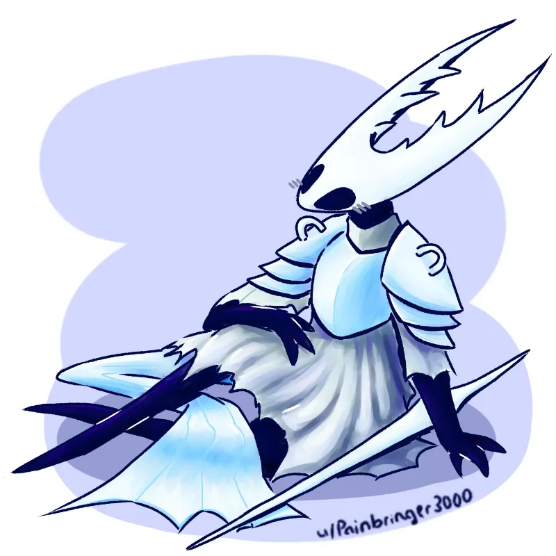 The Hollow Knight [Hollow Knight]