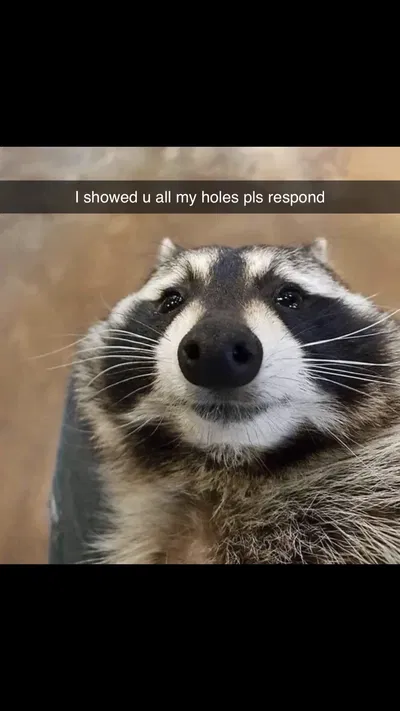 Announcement: My alt account