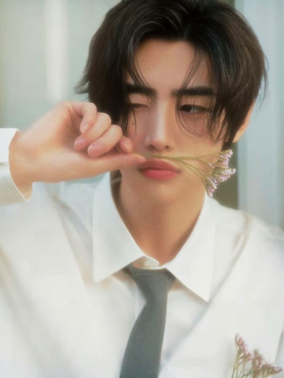 ❀ Sunghoon ❀*ੈ𑁍༘⋆