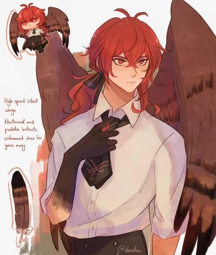 Diluc Owl
