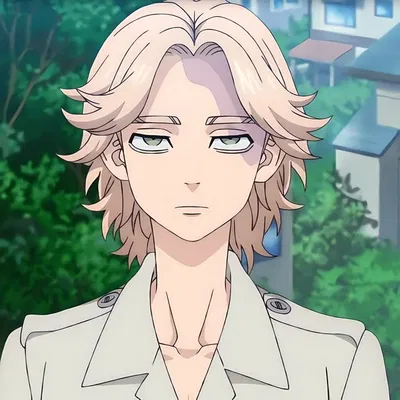 Seishu Inui 