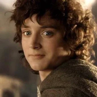{Frodo Baggins}