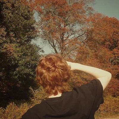 ╠Ronald Billius Weasley╣