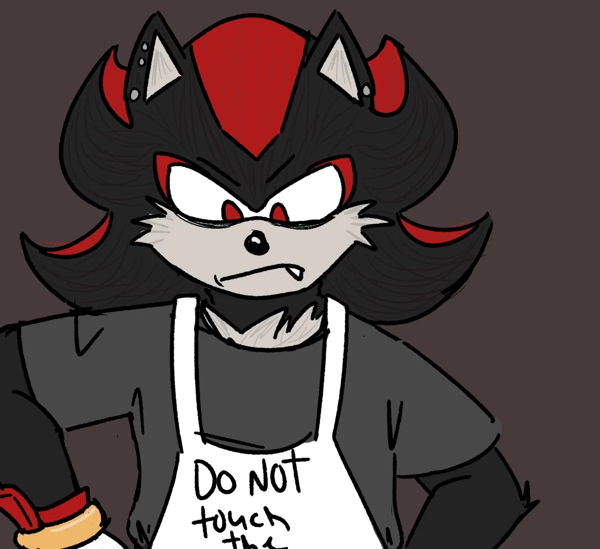 Shadow The Hedgehog