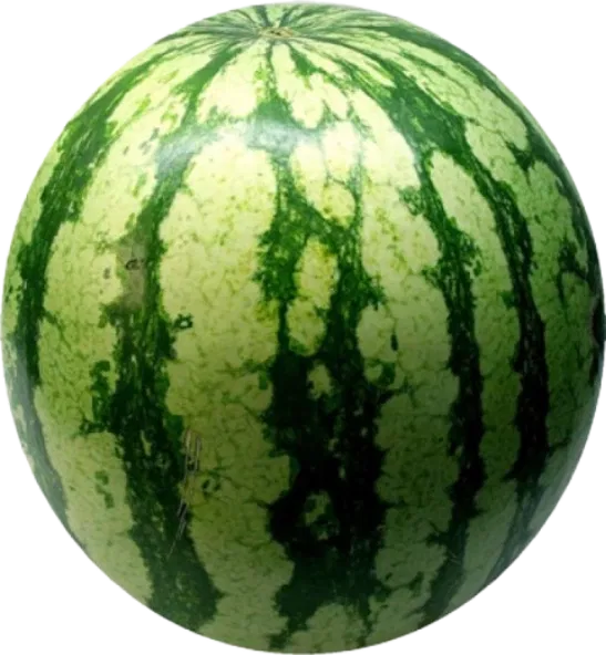 Watermelon png