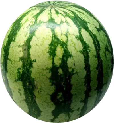 Watermelon png