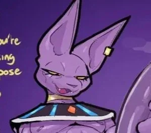 Beerus and Whis | your party life boyfriend