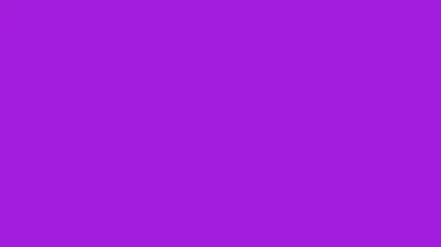 Donatello Hamato