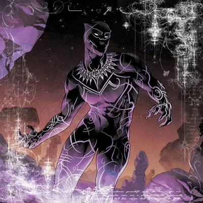 ꩜ | black panther / tchalla