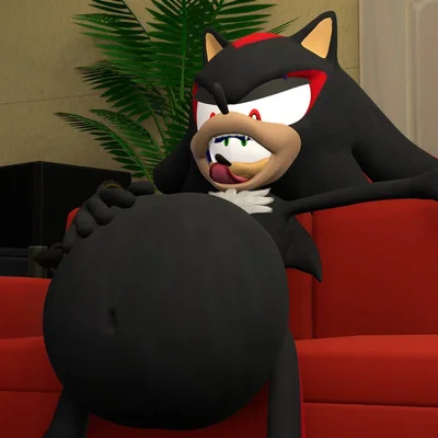 Shadow The Hedgehog 