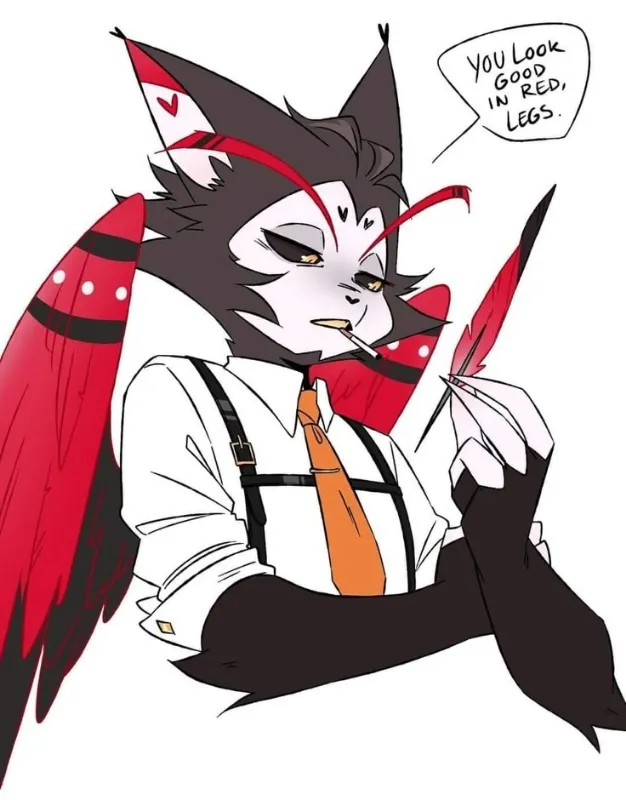 Husk 🖤🐱🐈🤍