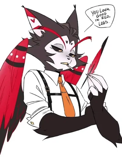 Husk 🖤🐱🐈🤍