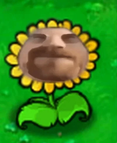 Heisenflower