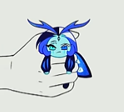 Moth Shadow Milk