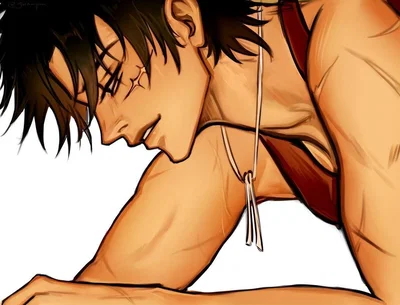 Monkey D. Luffy / One Piece 