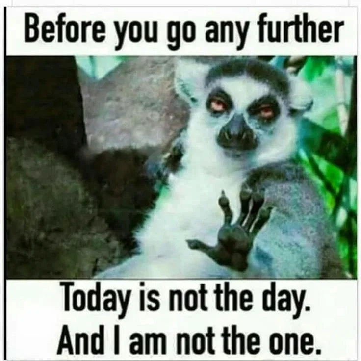 Just An Announcement 
