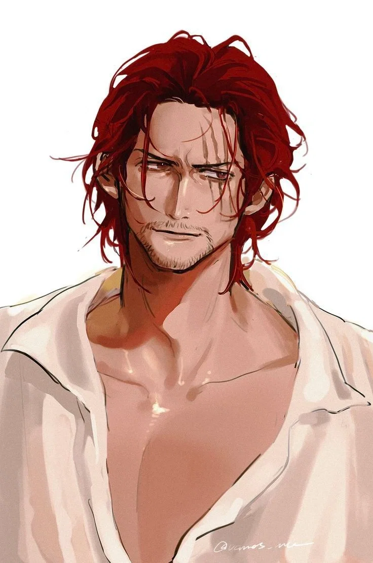 Shanks / One Piece 