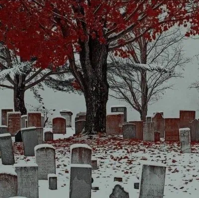 Afterlife 