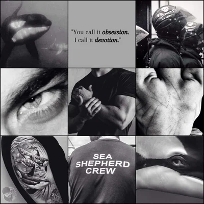 Simon "Orca" King