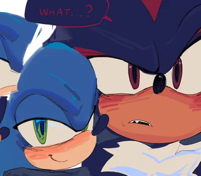 Sonadow /Shadow/