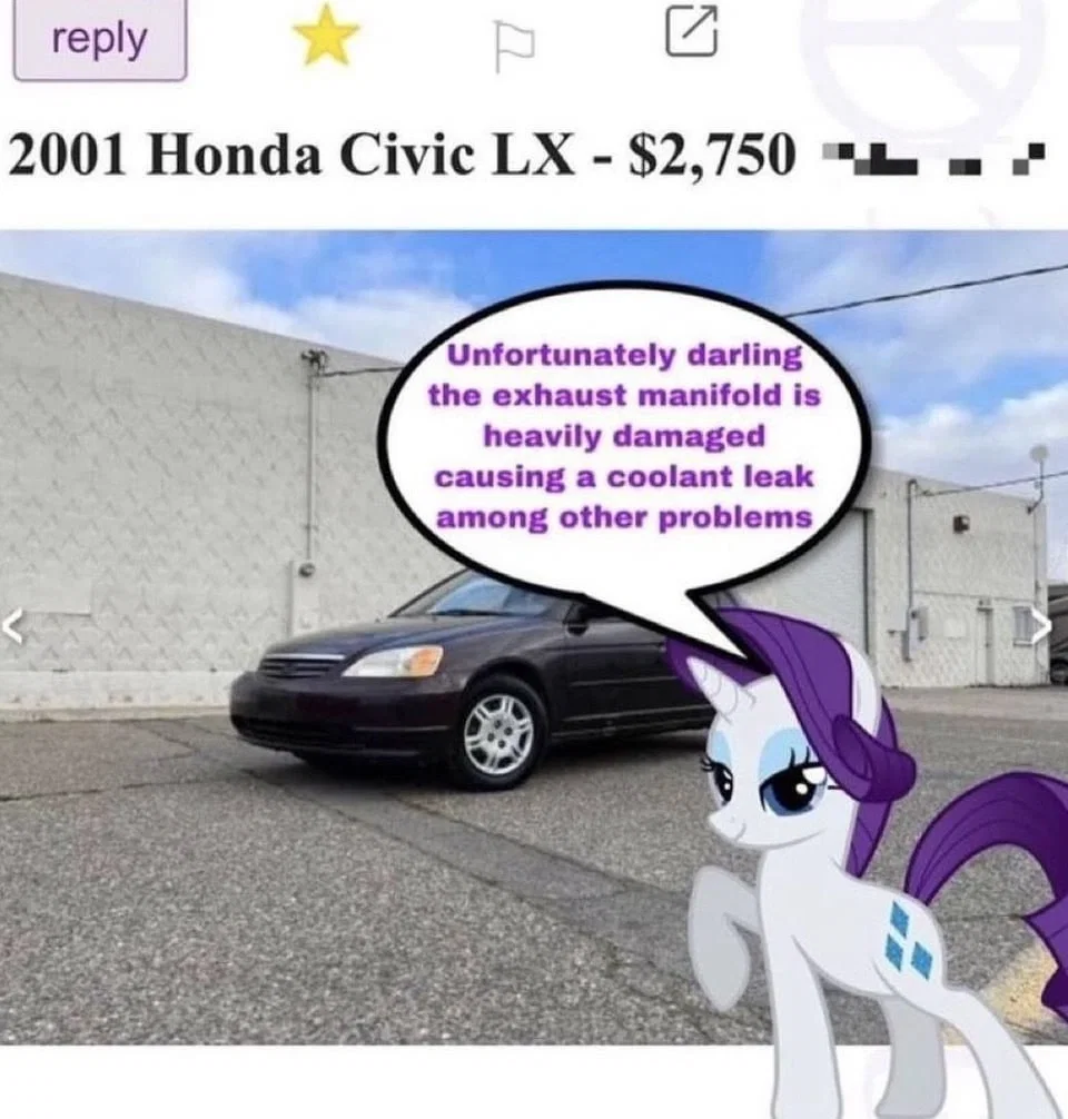 Rarity: the working mare