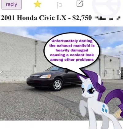 Rarity: the working mare
