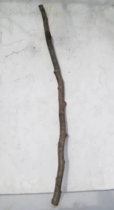 Big ass stick