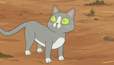 The talking cat