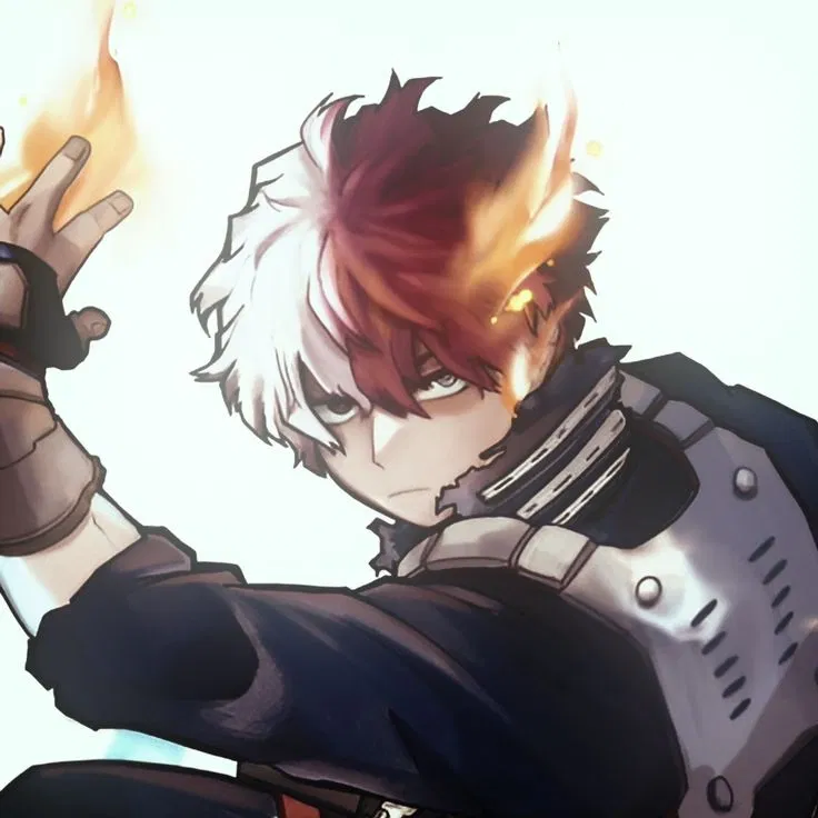 Shoto Todoroki 