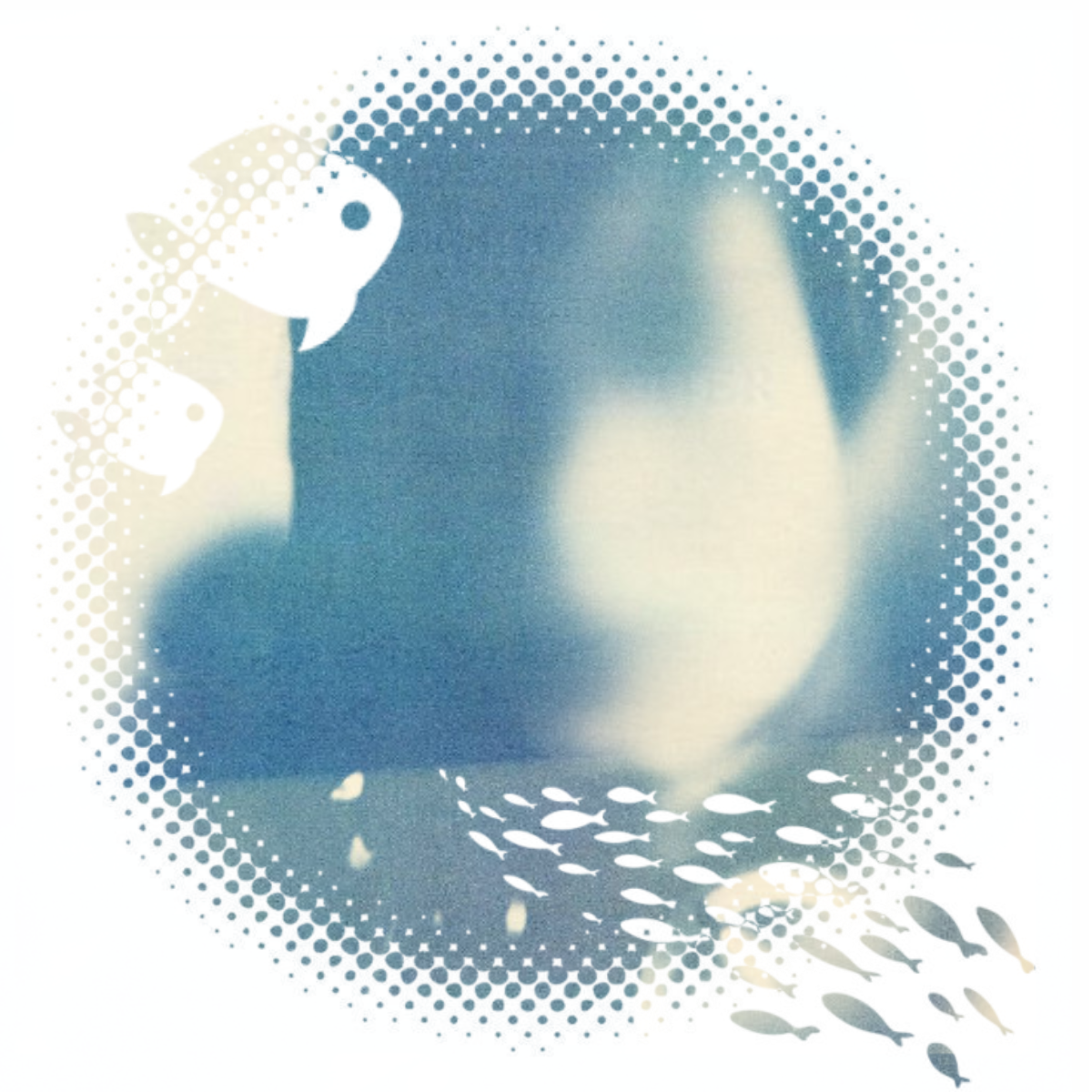 ❀✿Ben Boyd✿❀