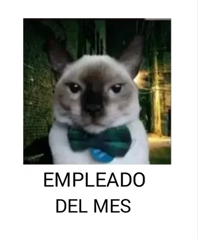 I need help | Necesito ayuda