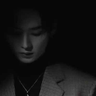 Shadow Master Lee Minho (Stray Kids)
