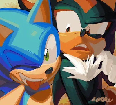 Sonic and Shadow