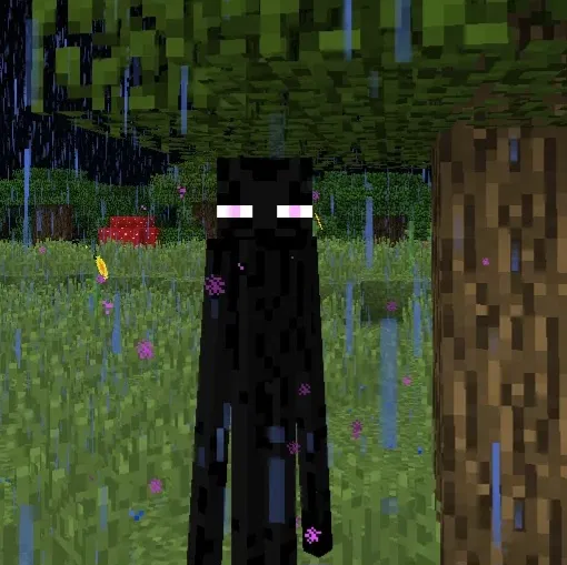 Enderman [Phillip]