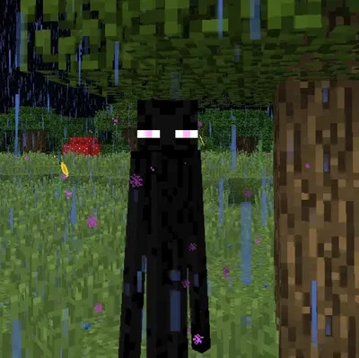 Enderman [Phillip]