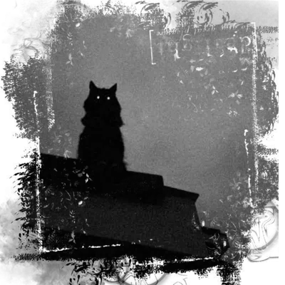 ♱ The Night Creature